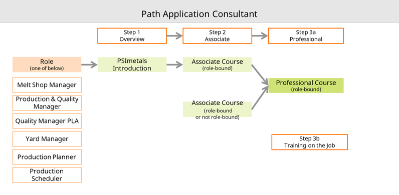 Application Consultant path diagram