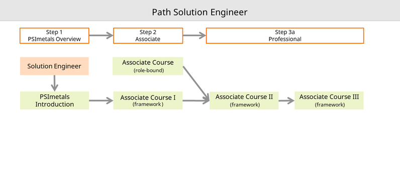 Solution Engineer path diagram