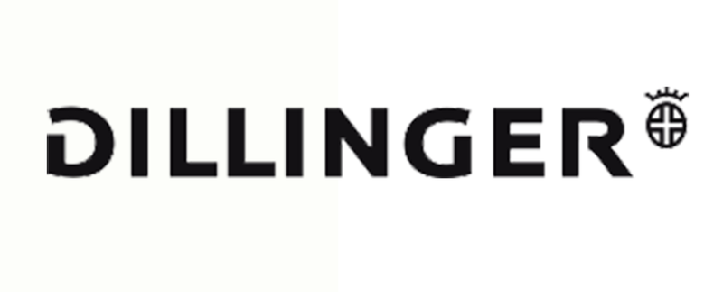 [Translate to 中文:] Logo: Dillinger
